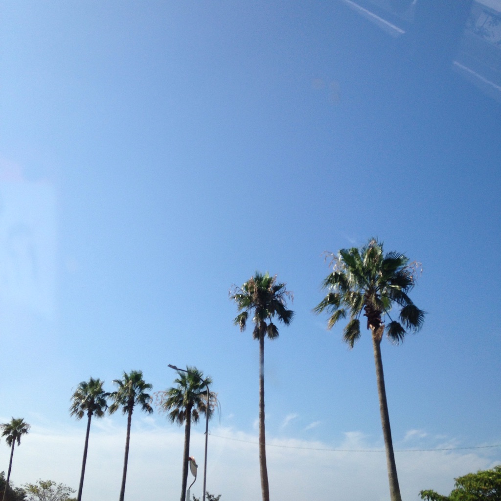 c0048536_19561410.jpg