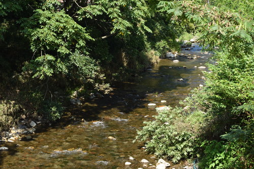 a0291938_1241424.jpg