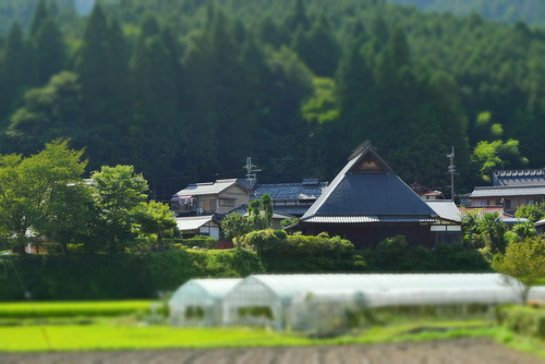 a0291938_12482191.jpg