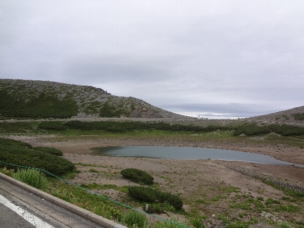 b0149340_20433866.jpg