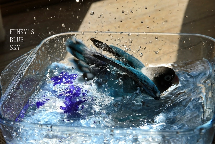 c0145250_16340168.jpg