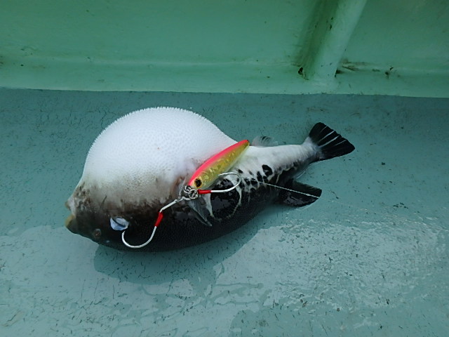 a0248152_1757944.jpg
