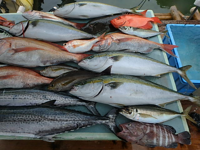 a0248152_1843941.jpg