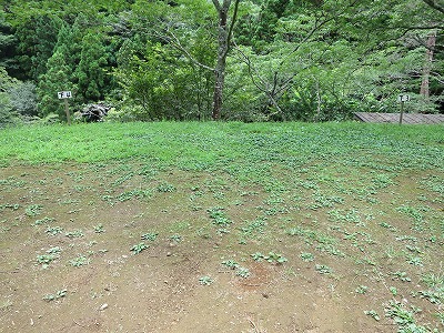 b0037654_22265613.jpg