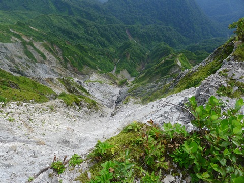 d0007657_15336100.jpg