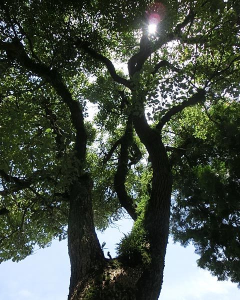 e0035757_16454486.jpg
