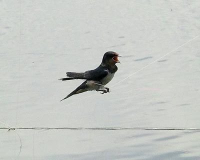e0035757_16500245.jpg