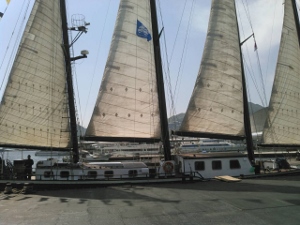 d0299559_921226.jpg