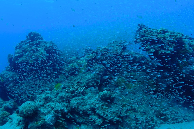 b0062363_17493565.jpg