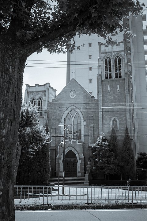 b0175964_16105518.jpg
