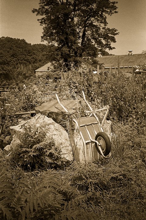 b0175964_19394822.jpg