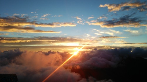 c0144868_08033831.jpg