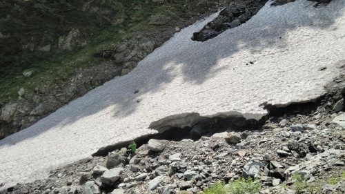 c0144868_10492226.jpg