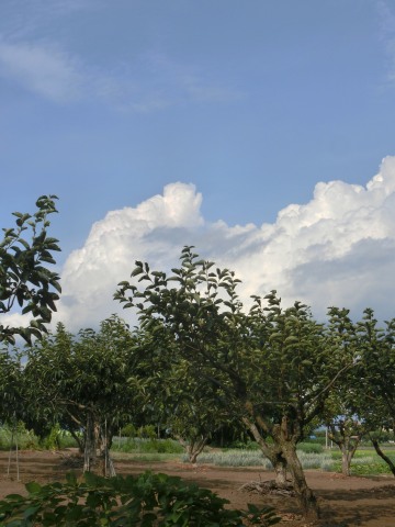 e0045768_22424991.jpg