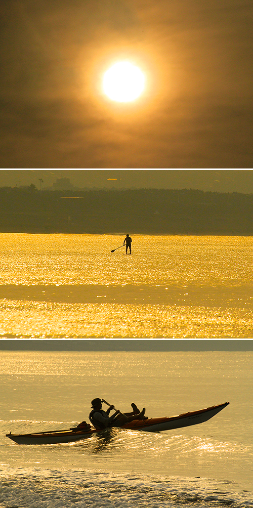 a0157069_1058139.jpg