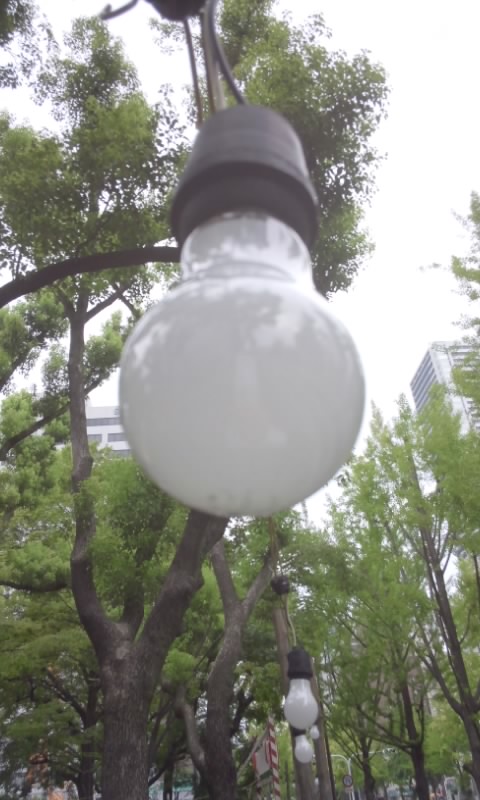 f0200871_10225821.jpg