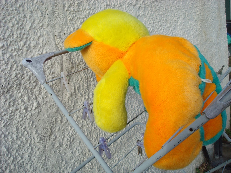 a0123372_6581056.jpg