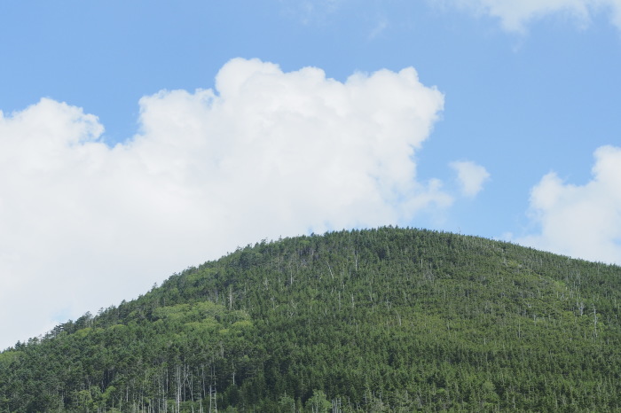 e0307372_12443456.jpg
