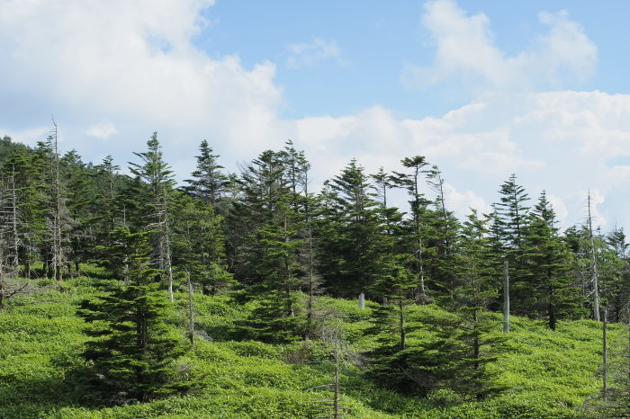 e0307372_12444920.jpg