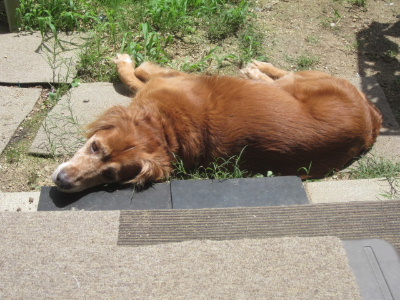 f0005081_21174391.jpg
