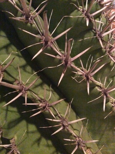 a0243983_22575197.jpg