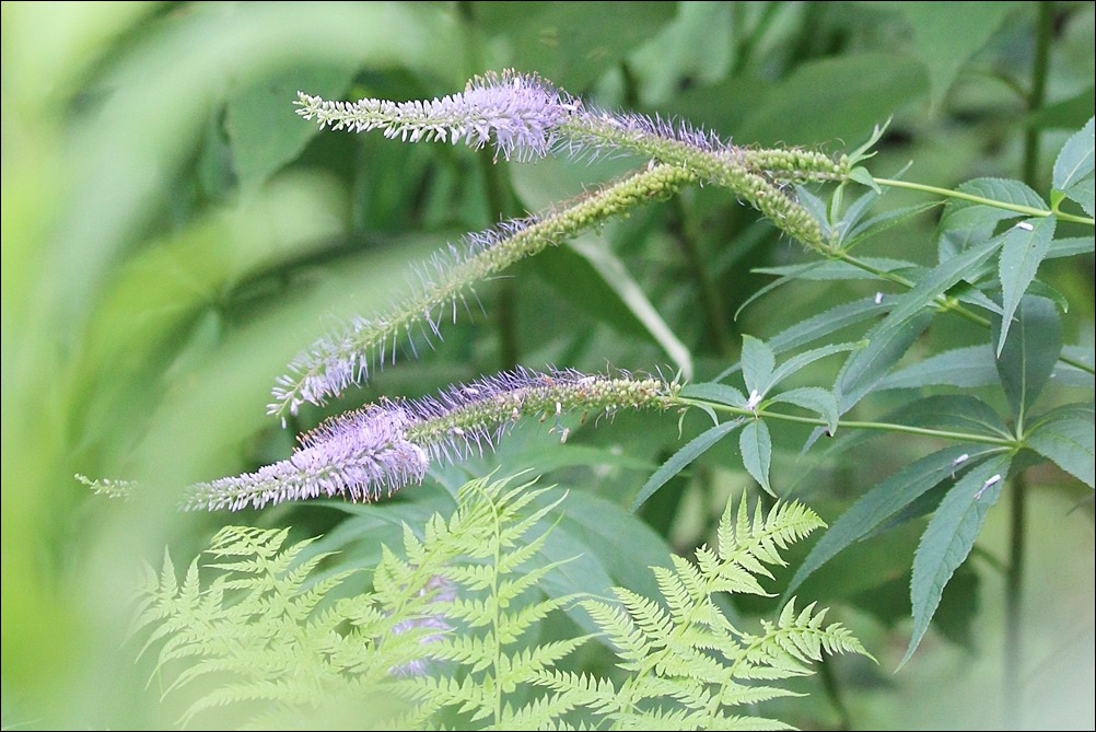 d0130286_061944.jpg