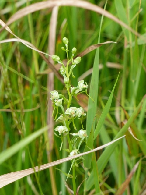 f0357487_22103155.jpg