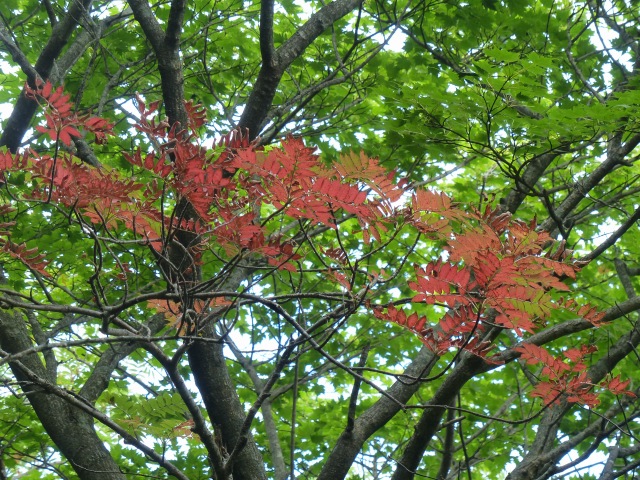 f0357487_22211483.jpg