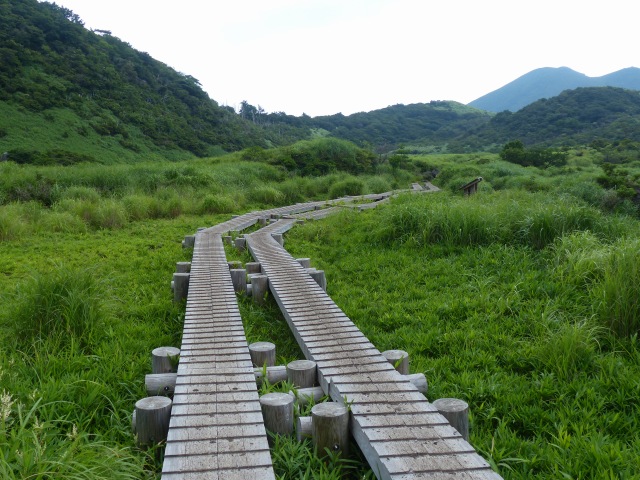 f0357487_22231710.jpg