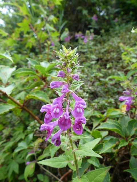 f0357487_22264060.jpg