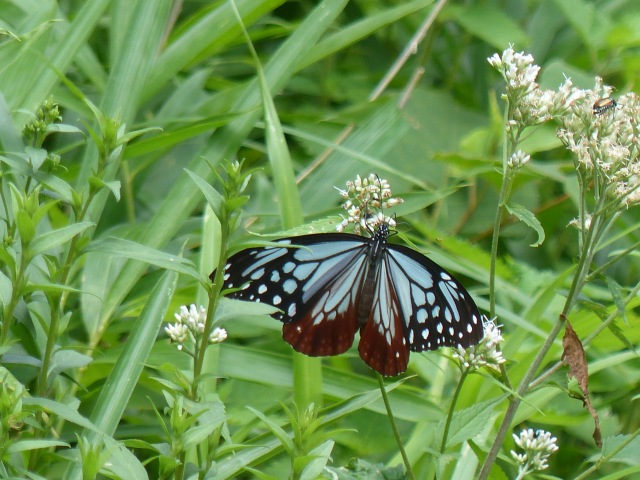 f0357487_22275169.jpg