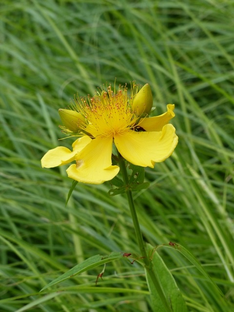 f0357487_2229291.jpg