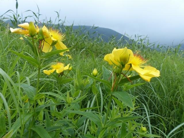 f0357487_22302146.jpg