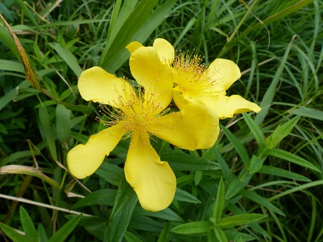 f0357487_22304335.jpg