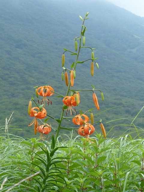 f0357487_22314039.jpg