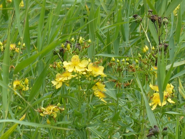 f0357487_2231999.jpg