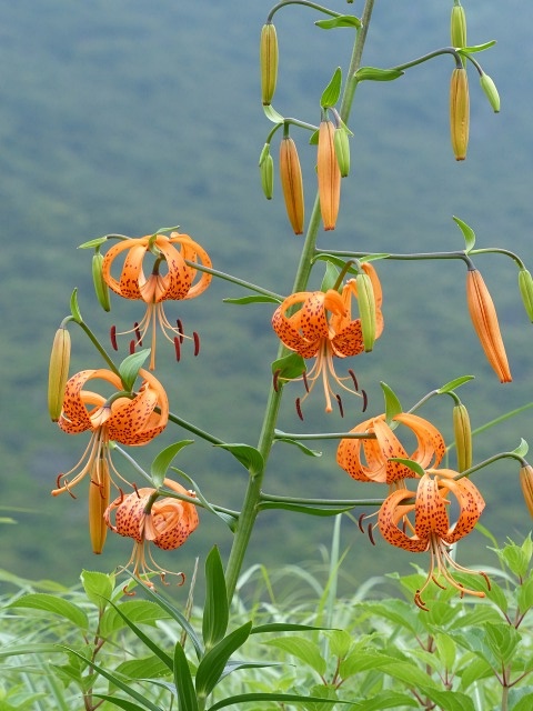 f0357487_22324027.jpg