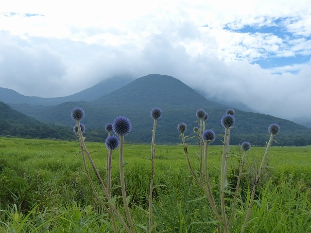 f0357487_2232563.jpg