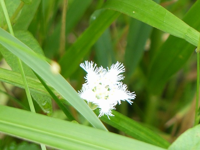 f0357487_2271375.jpg