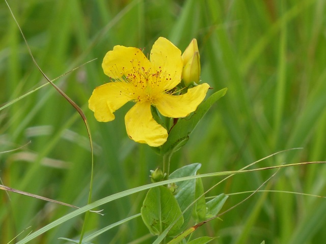 f0357487_2291570.jpg