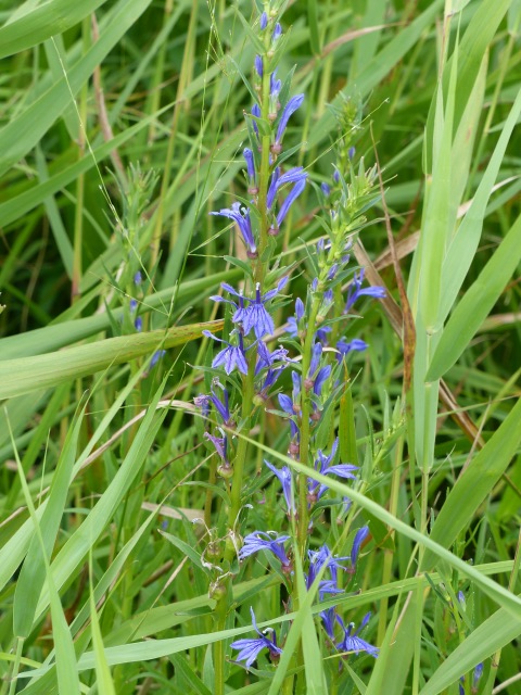 f0357487_2294130.jpg