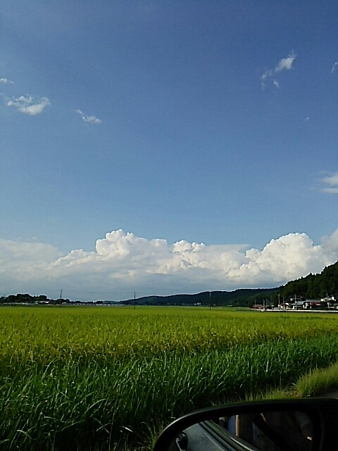 b0163088_08315263.jpg