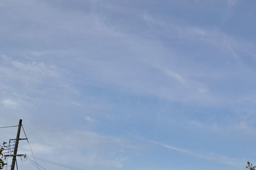 e0246788_15244124.jpg