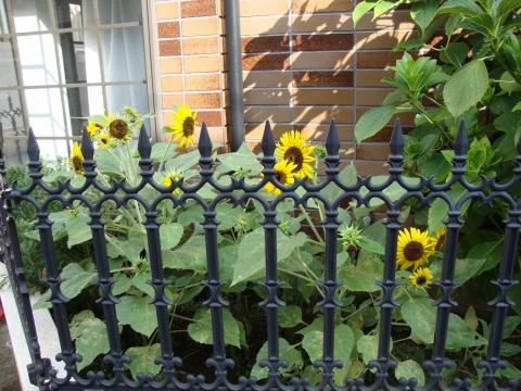 c0322794_18483494.jpg