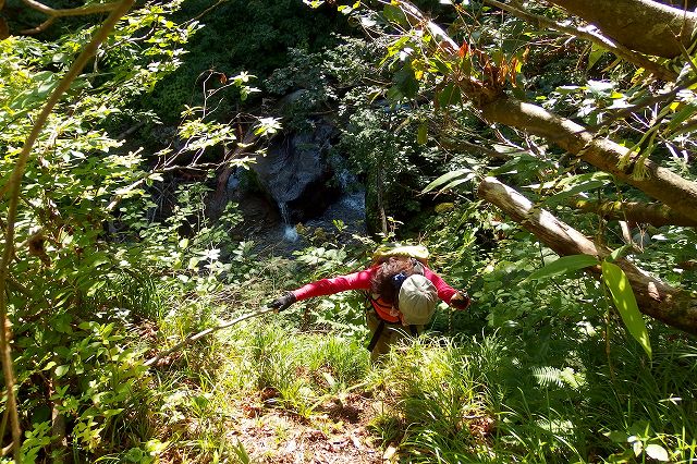 e0137200_20115895.jpg