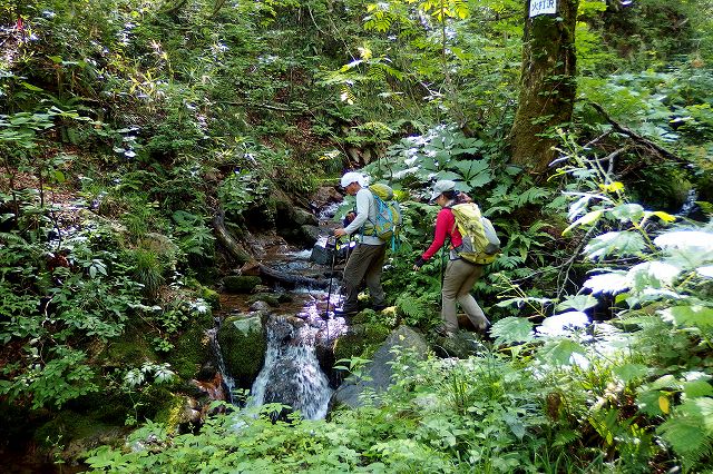 e0137200_20121275.jpg