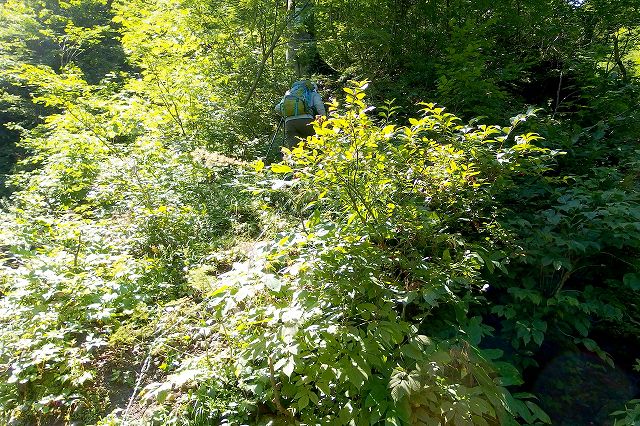 e0137200_20135538.jpg