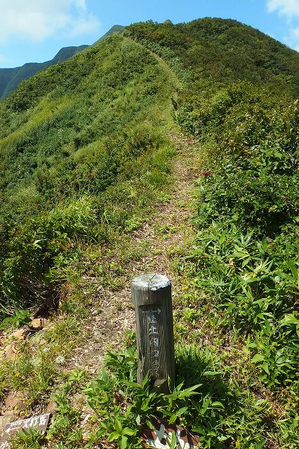 e0137200_2022061.jpg