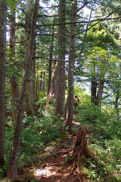 e0137200_2031974.jpg