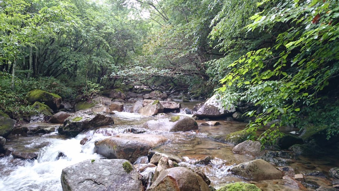 b0172805_0415444.jpg